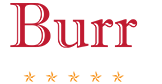 Burr Roofing